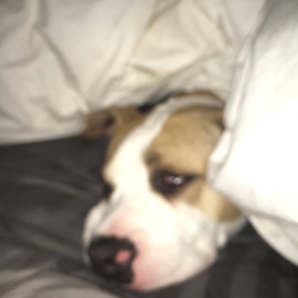 Meet your Posher, Edwar